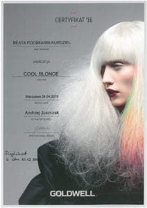 Cool Blonde - szkolenie fryzjerskie Goldwell
